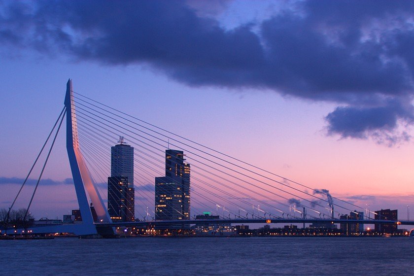 image: rotterdam